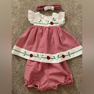 Ladybug Gingham Red and White Baby Girl Matching Set